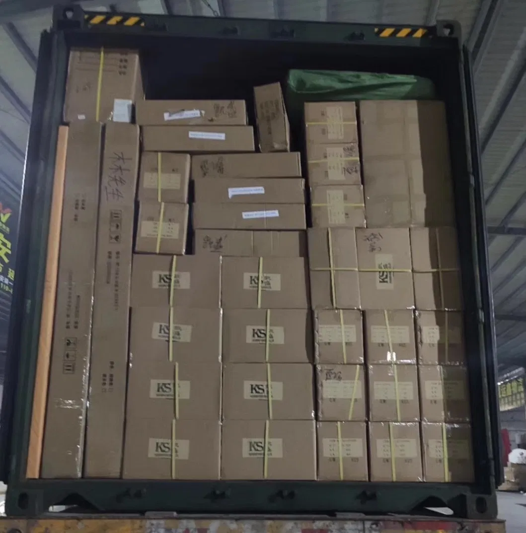 Shipping Agent/Ocean Freight Forwarder/Logistics From Reunion Islands FCL/LCL