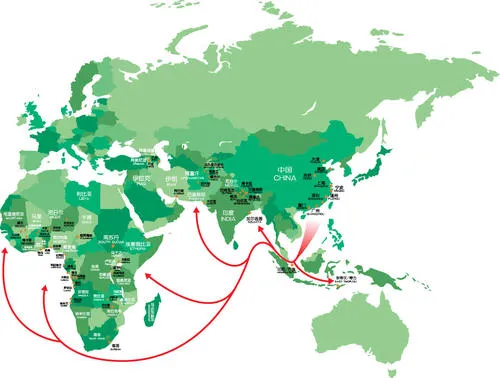 Shipping Agent/Ocean Freight Forwarder/Logistics From Reunion Islands FCL/LCL