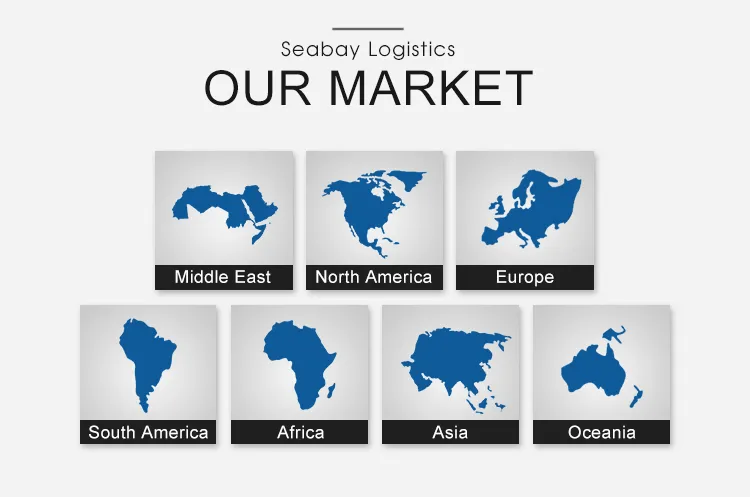 Shipping Rates/Shipping Charges/Logistics Service/Logistics Forwarding/Logistics Agent to Vladivostok/Vostochny Russia