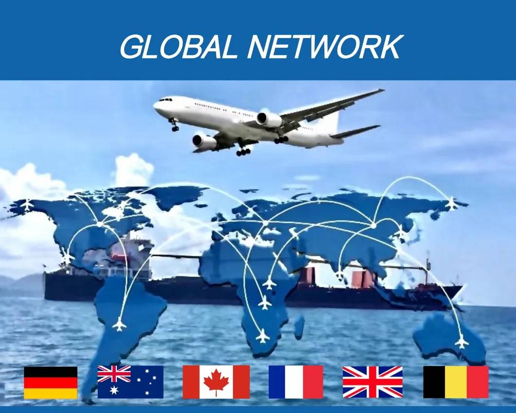 Top Fba Freight Logistic Forwarder From China to Alaska/Austin/Cleveland/Dallas/Detroit USA