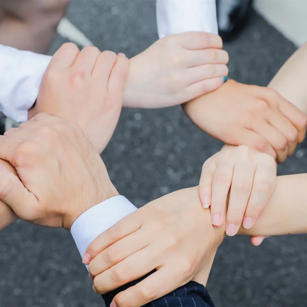 Wanhai Whl Fast Shipping Forwarder by Ocean Freight From China to India