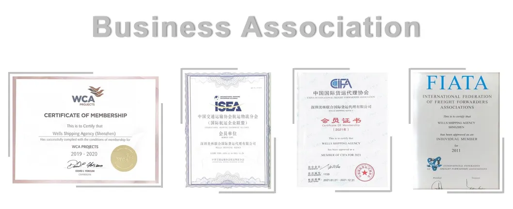 Wells Shiping Sea Cargo Freight Forwarder From Ningbo to Vilnius