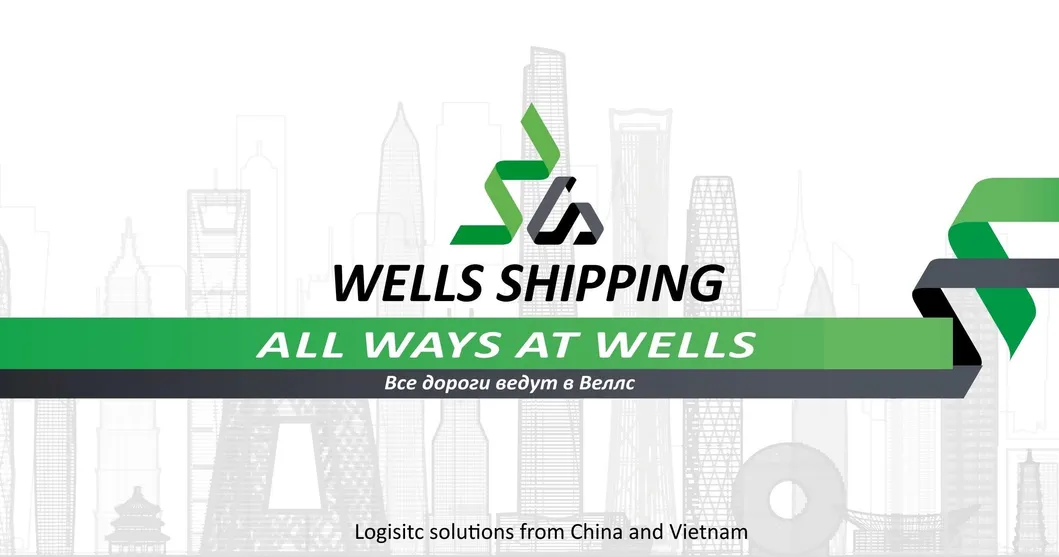 Wells Shiping Sea Cargo Freight Forwarder From Ningbo to Vilnius