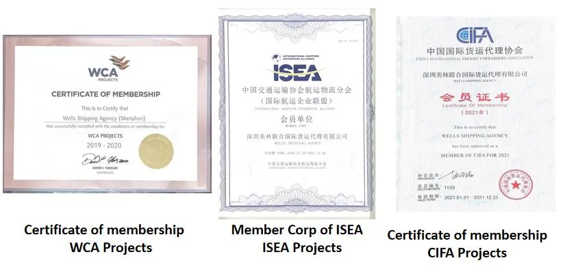 Wells Shipping Air Freight Service From China to Tallinn