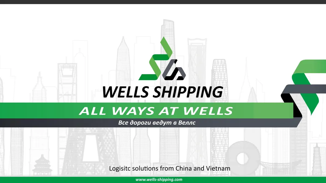 Wells Shipping Air Freight Service From China to Tallinn